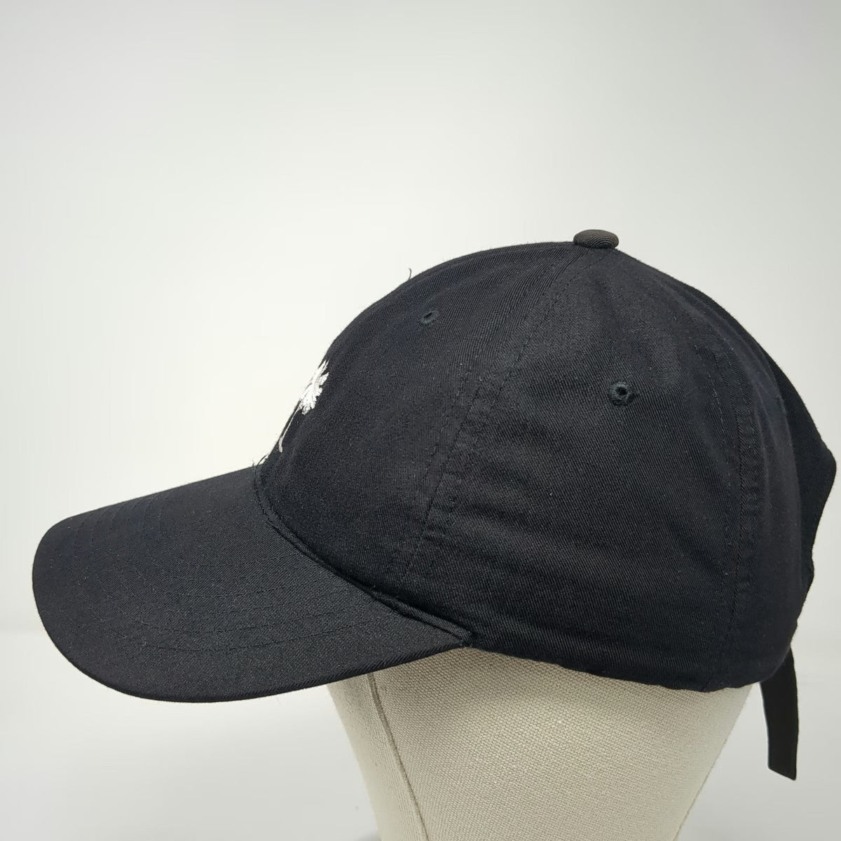 Brian Robinson Baseball Cap Black One Size South Carolina Palmetto Moon Hat