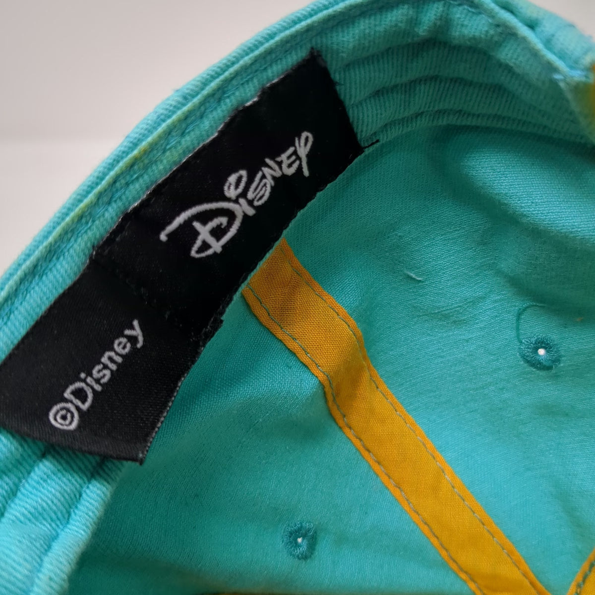 Disney Perry the Platypus Character Face Snapback Blue One Size Hat Flat Brim
