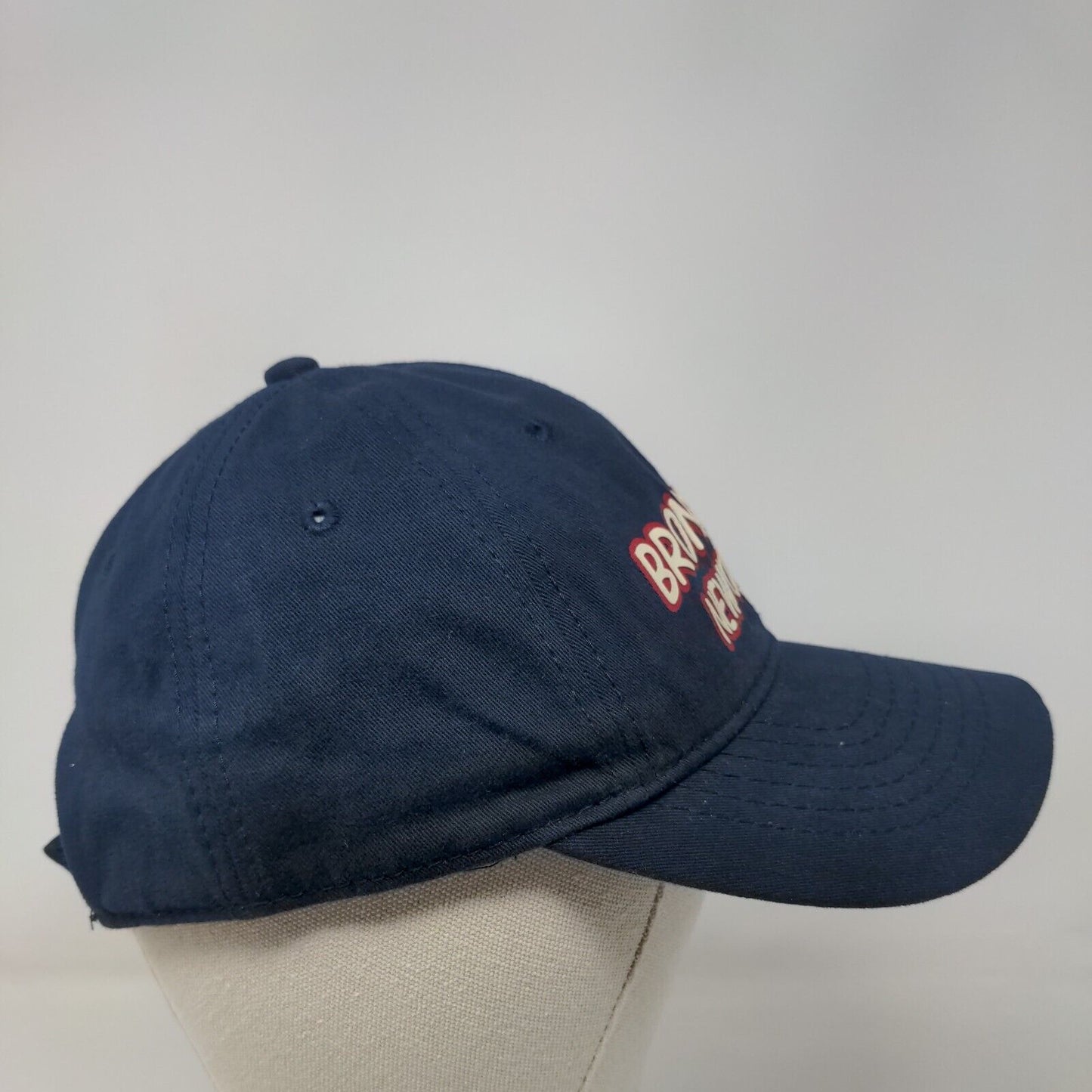Bronx Zoo New York City Child Strapback Hat Blue One Size Adjustable Jacobson