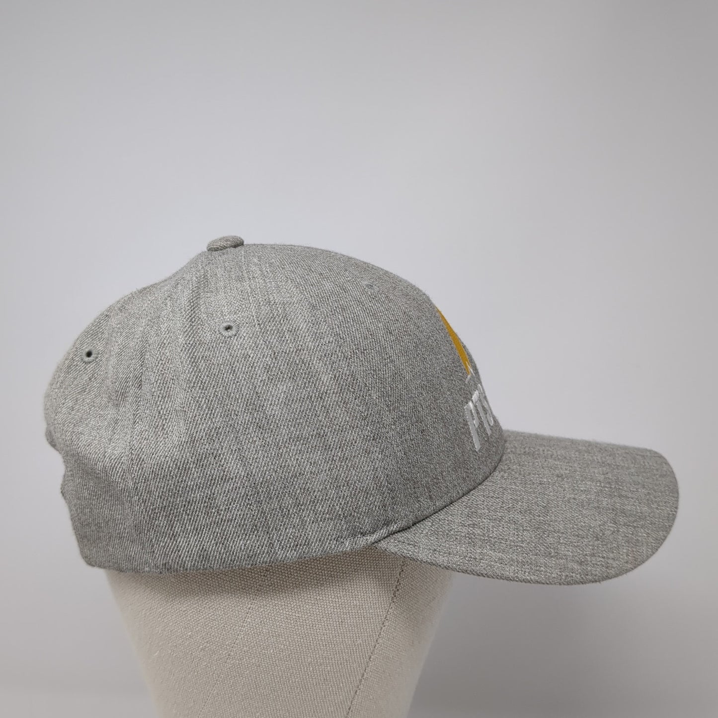 PTSD Snapback Hat Gray One Size Solid Adjustable Embroidered Yupoong