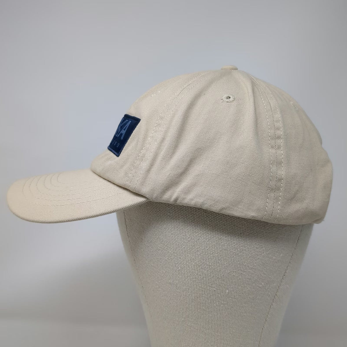 Princess Alaska Cruise Souvenir Baseball Cap Beige One Size Travel Ship Hat