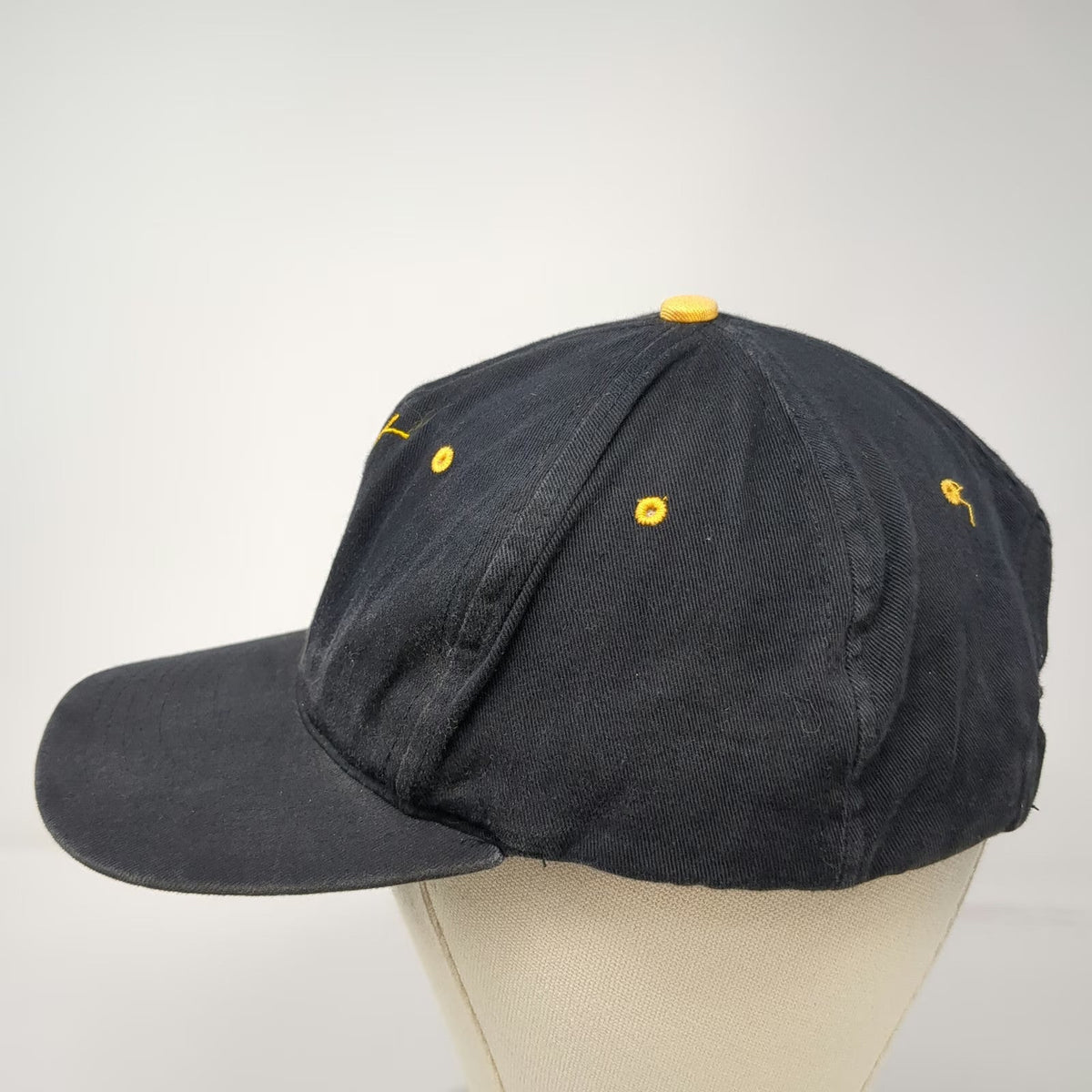 Pittsburgh Steelers NFL AJD Snapback Hat Black One Size Script Green Underbrim
