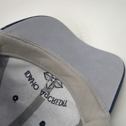OTTO Baseball Cap Gray Blue OSFM Idaho AgCredit Slideback Hat Contrast Piping
