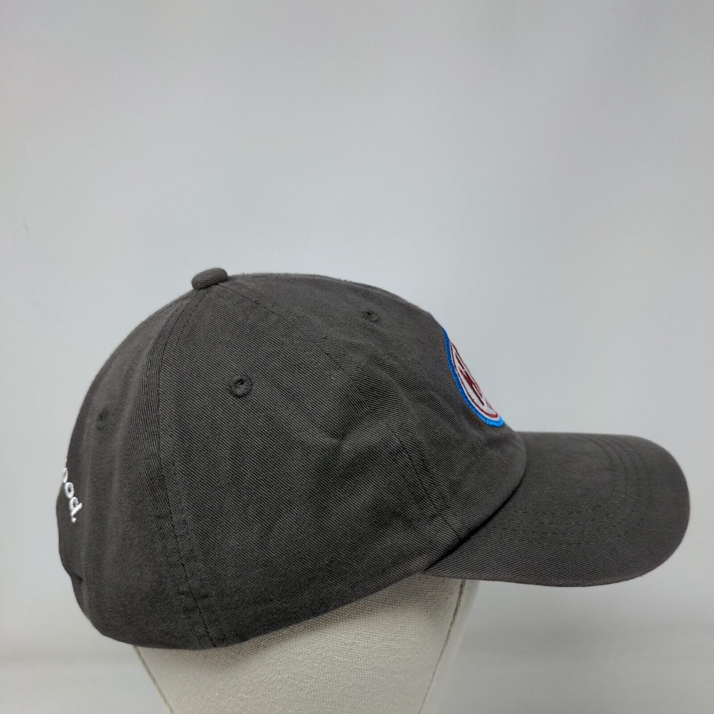 Hero Slideback Hat Gray One Size Solid Embroidered I Am One Blood