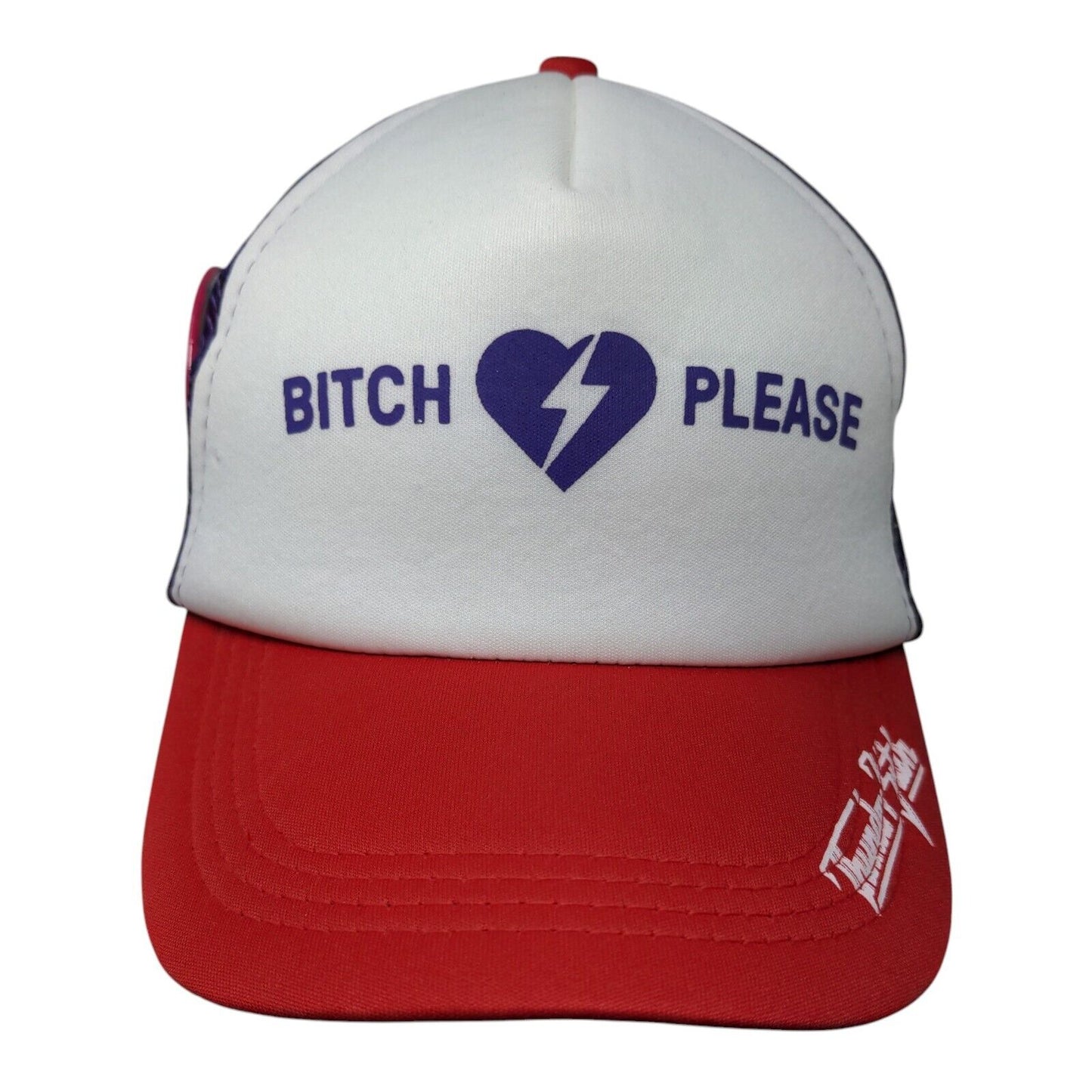 B*tch Please Snapback Mesh Back Trucker Hat Multi One Size Pin Colorblock