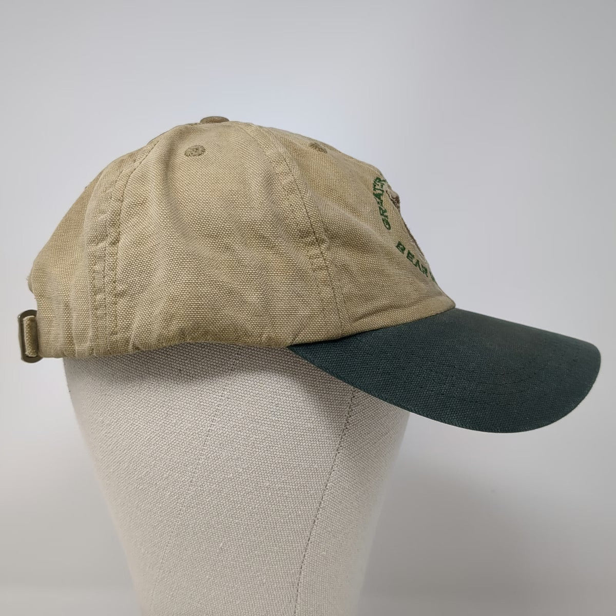 Stitches Embroidery Greater Glacier Area Bear DNA Project Baseball Cap OS Hat