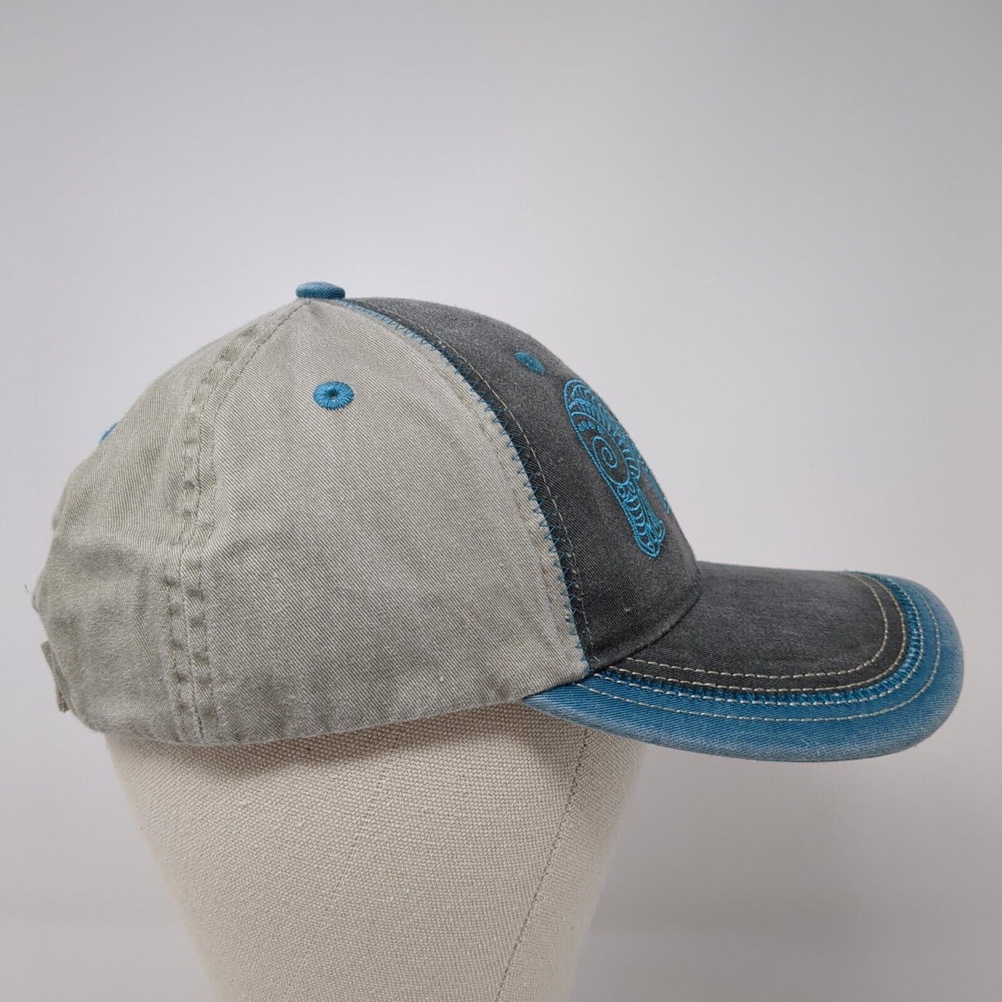Alaska Strapback Hat Multicolor One Size Adjustable Embroidered ACE USA Cotton