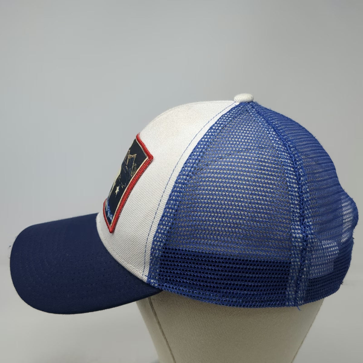 Art 4 All Abby Paffrath Bison Patch Blue One Size Trucker Hat Snapback Mesh Back