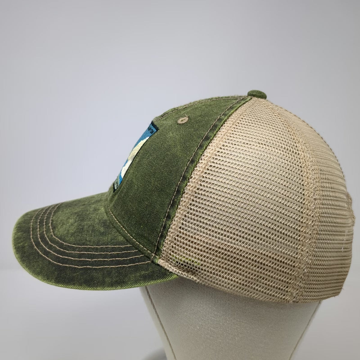 ACE USA Trucker Hat Green OSFM Hells Canyon National Recreation Area Mesh Snap