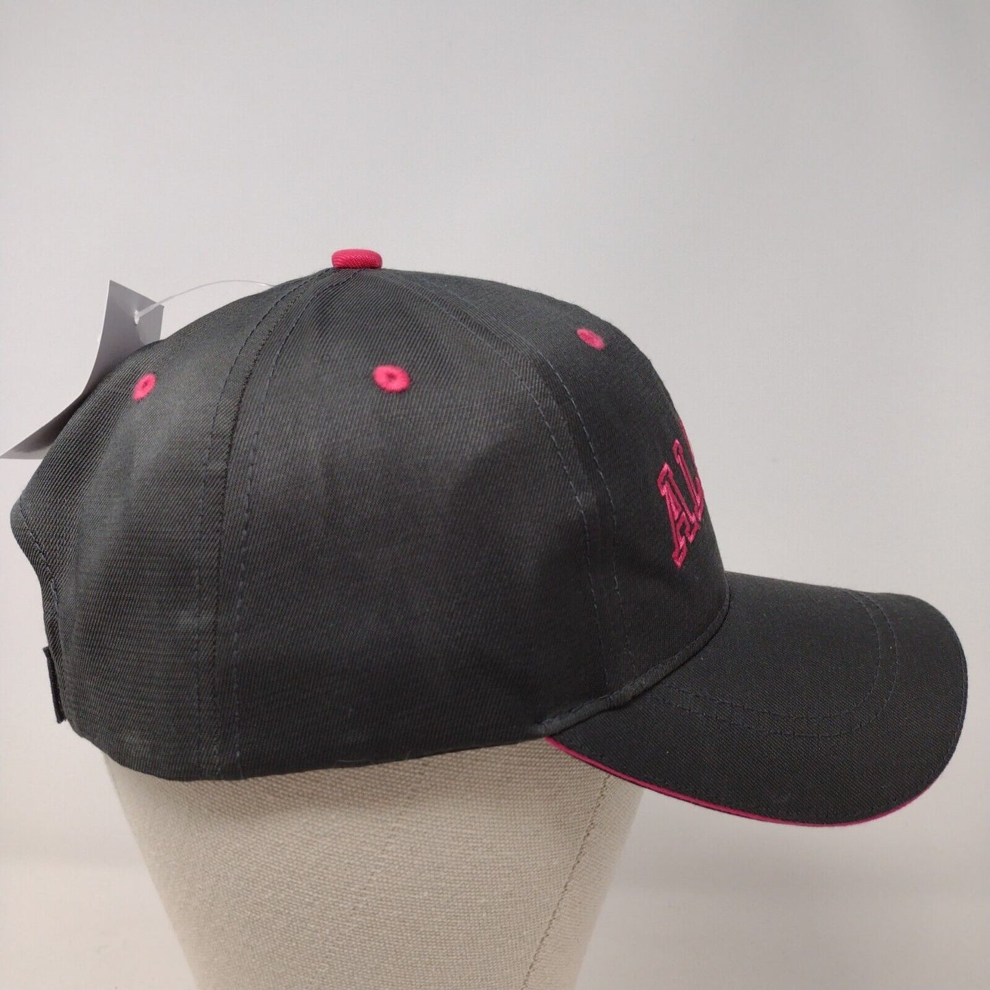 Alaska Strapback Hat Gray OSFA Adjustable Embroidered W/Tags Arctic Gear