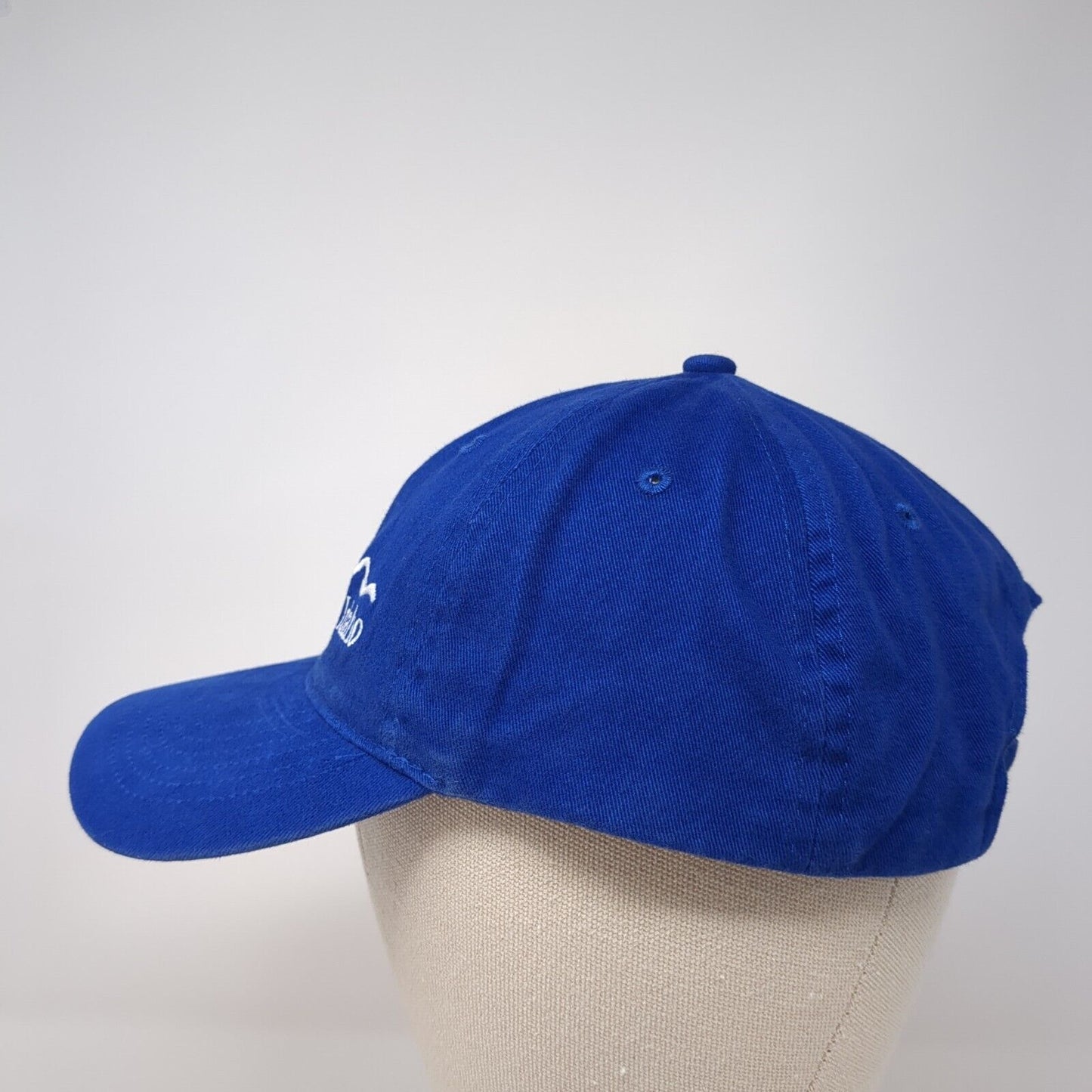 Blue Cross of Idaho Slideback Hat Blue One Size Solid Port & Company