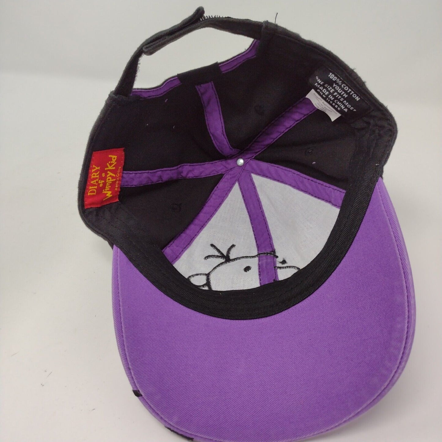 Diary of a Wimpy Kid Strapback Hat Multicolor Youth OSFM Embroidered