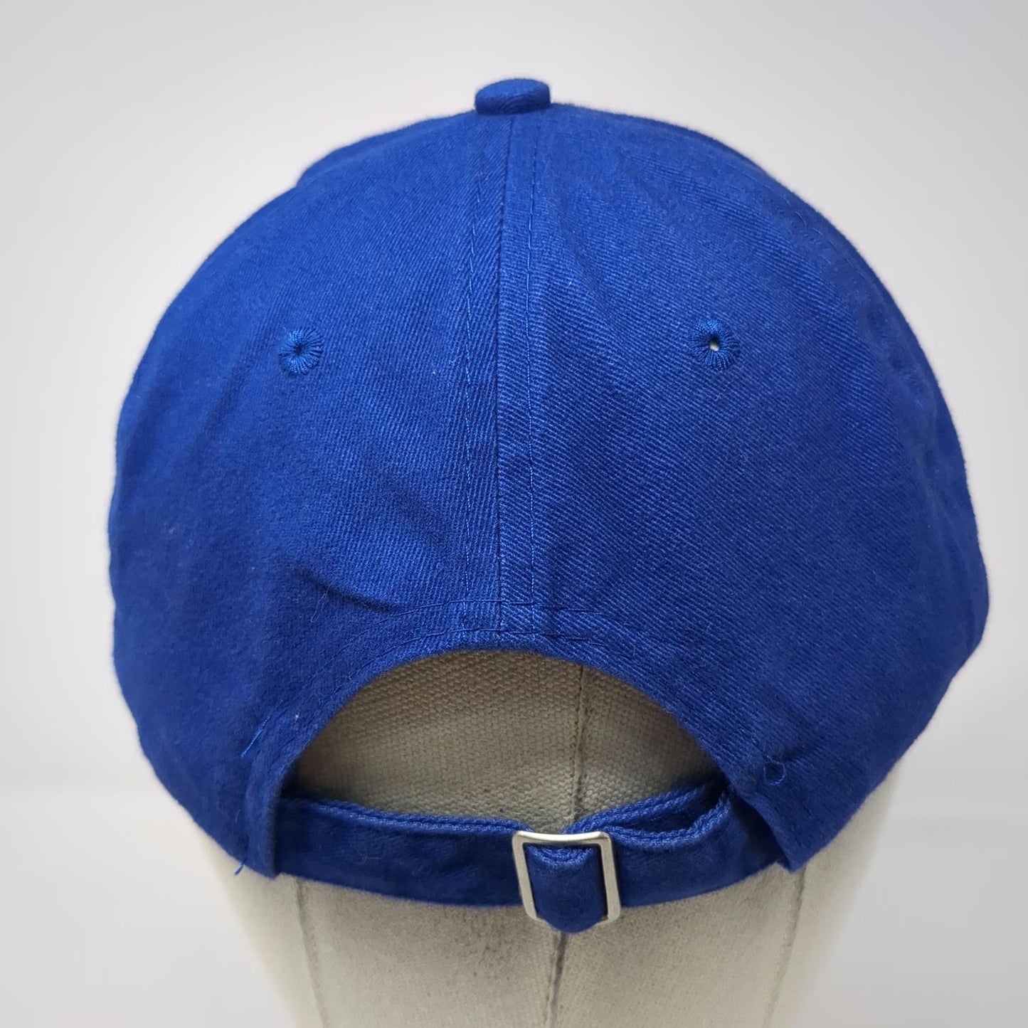 Queensboro Baseball Cap Blue One Size Berger Picard Dog Breed Slideback Hat