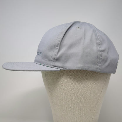 Headmaster Snapback Gray One Size Hat ACT Transportation Flat Brim Green Under