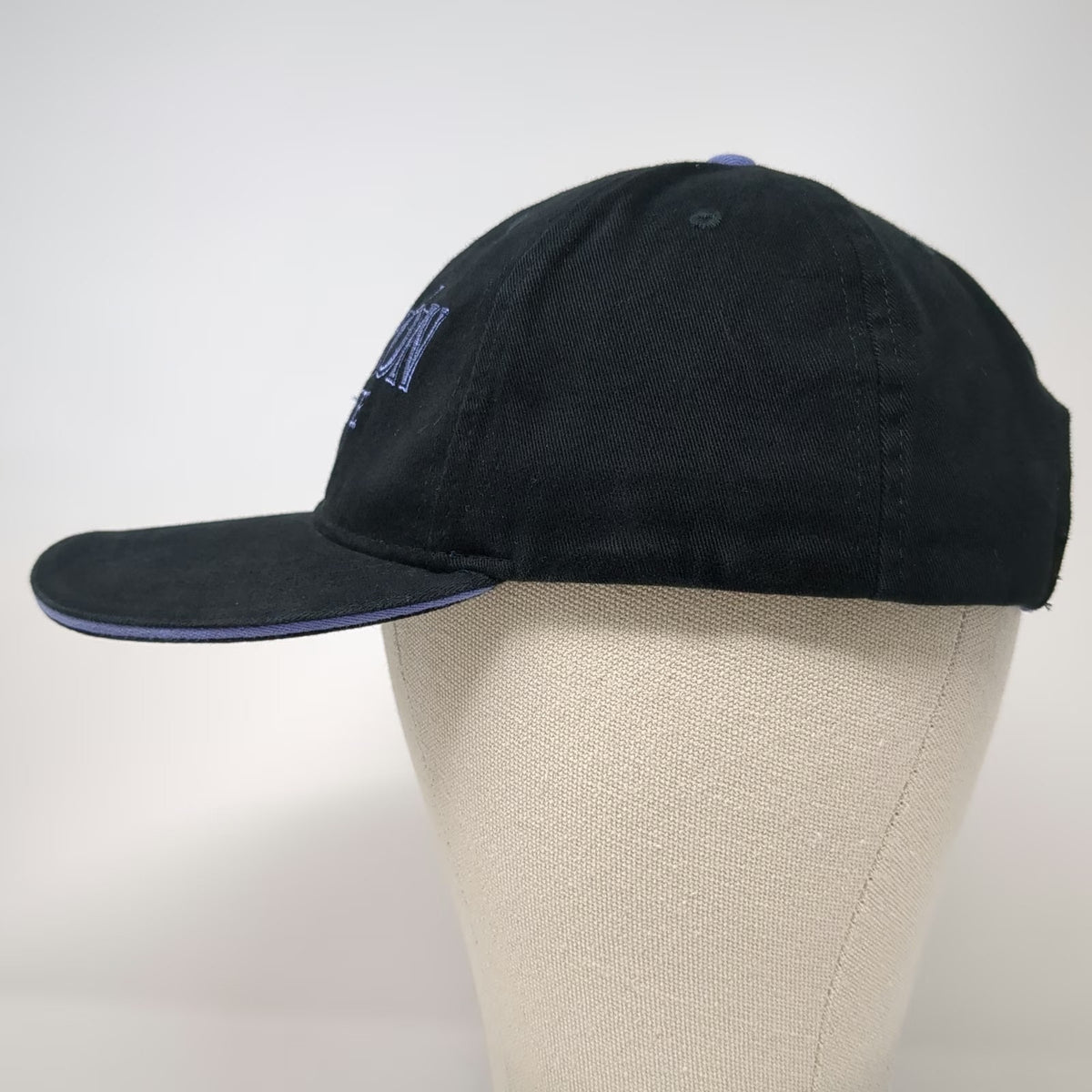Patron XO Cafe Baseball Cap Black One Size Purple Embroidery Bee Strapback Hat