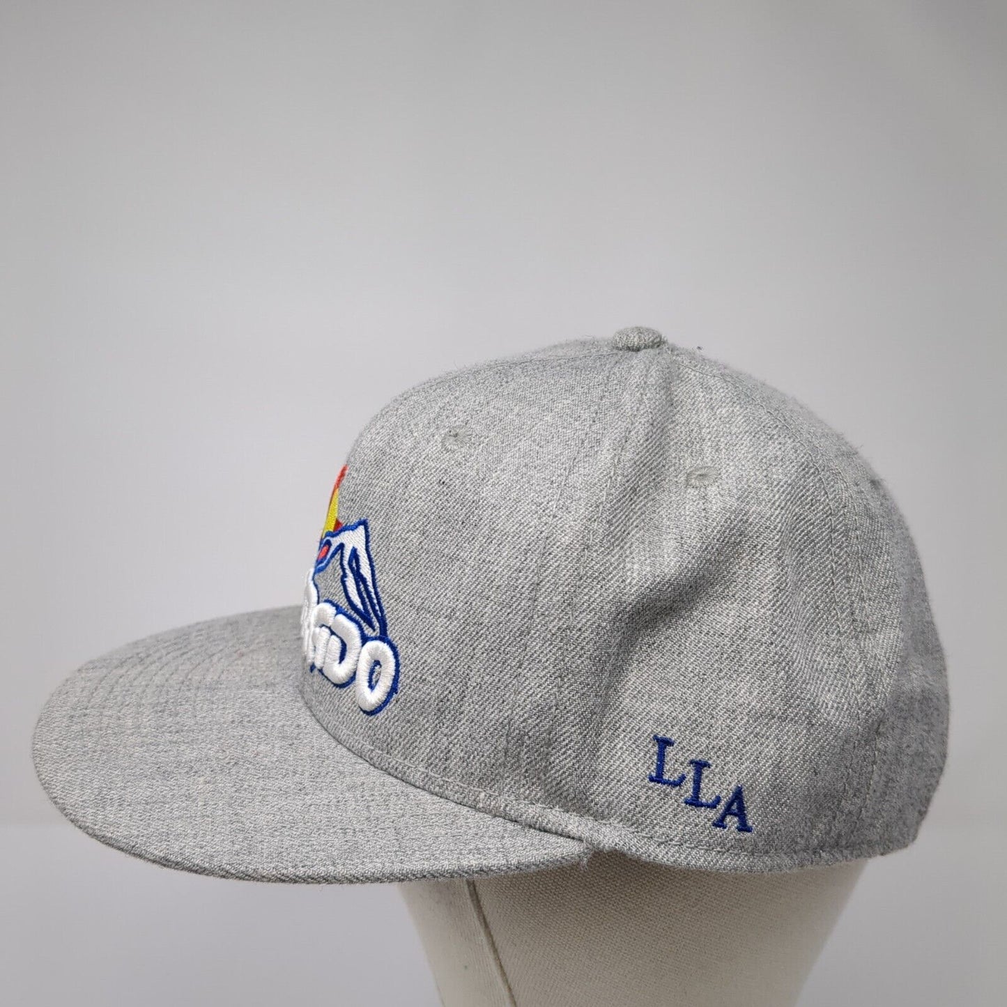 Colorado LLA Snapback Hat Gray One Size Adjustable Love Light Apparel