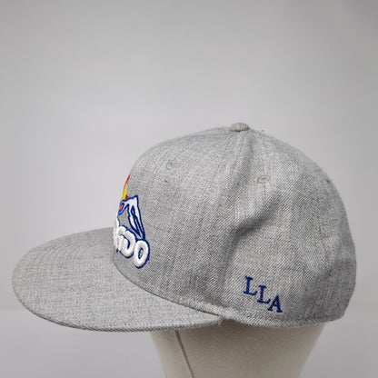 Colorado LLA Snapback Hat Gray One Size Adjustable Love Light Apparel