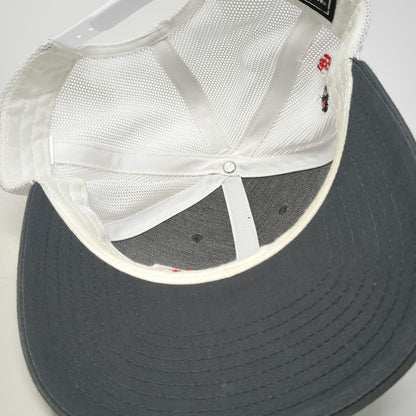 Richardson Trucker Hat Gray One Size Driscoll Brothers Potato Mascot Snapback