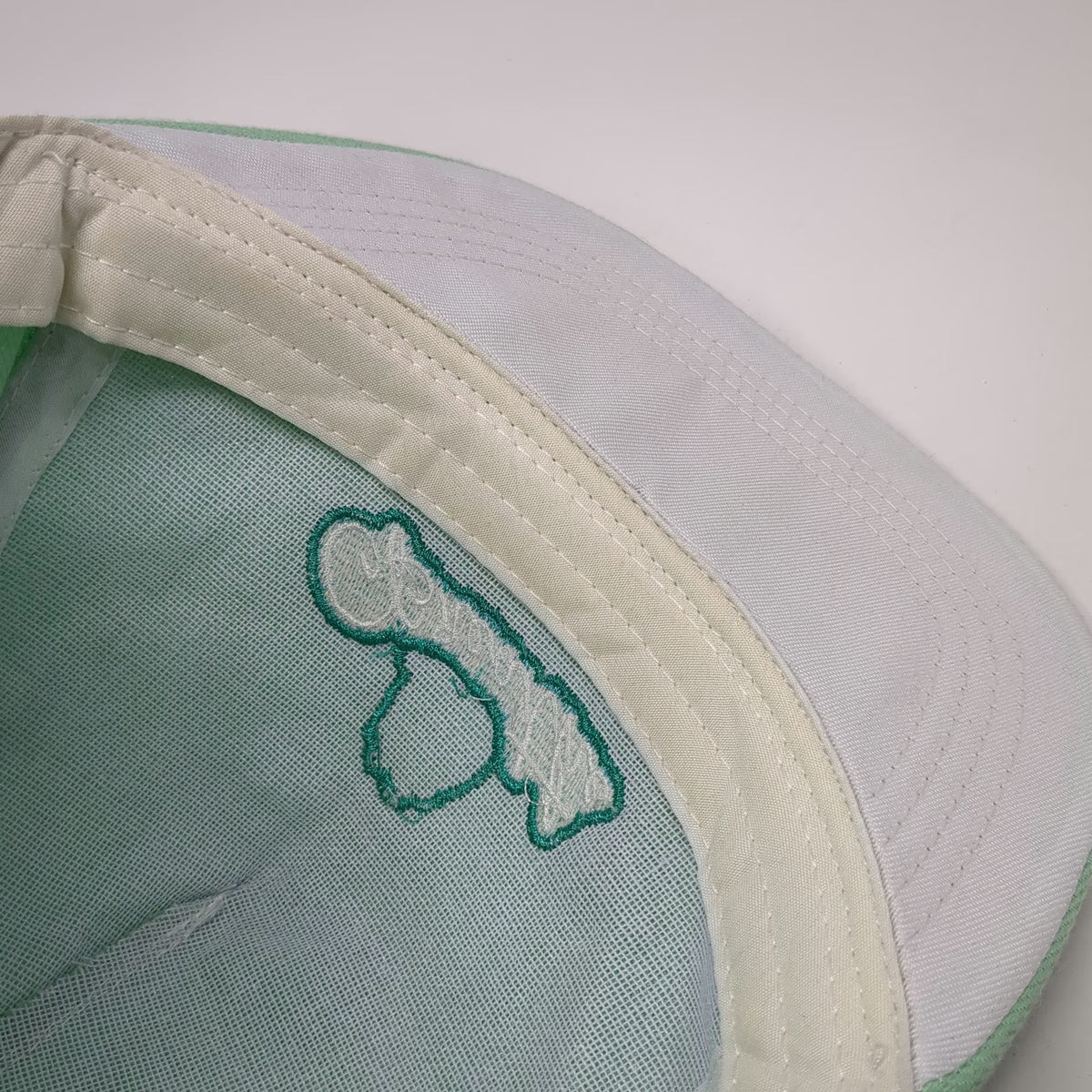 Pusheen 5 Panel Green One Size Breathe Cat Hat Adjustable Slideback Polyester