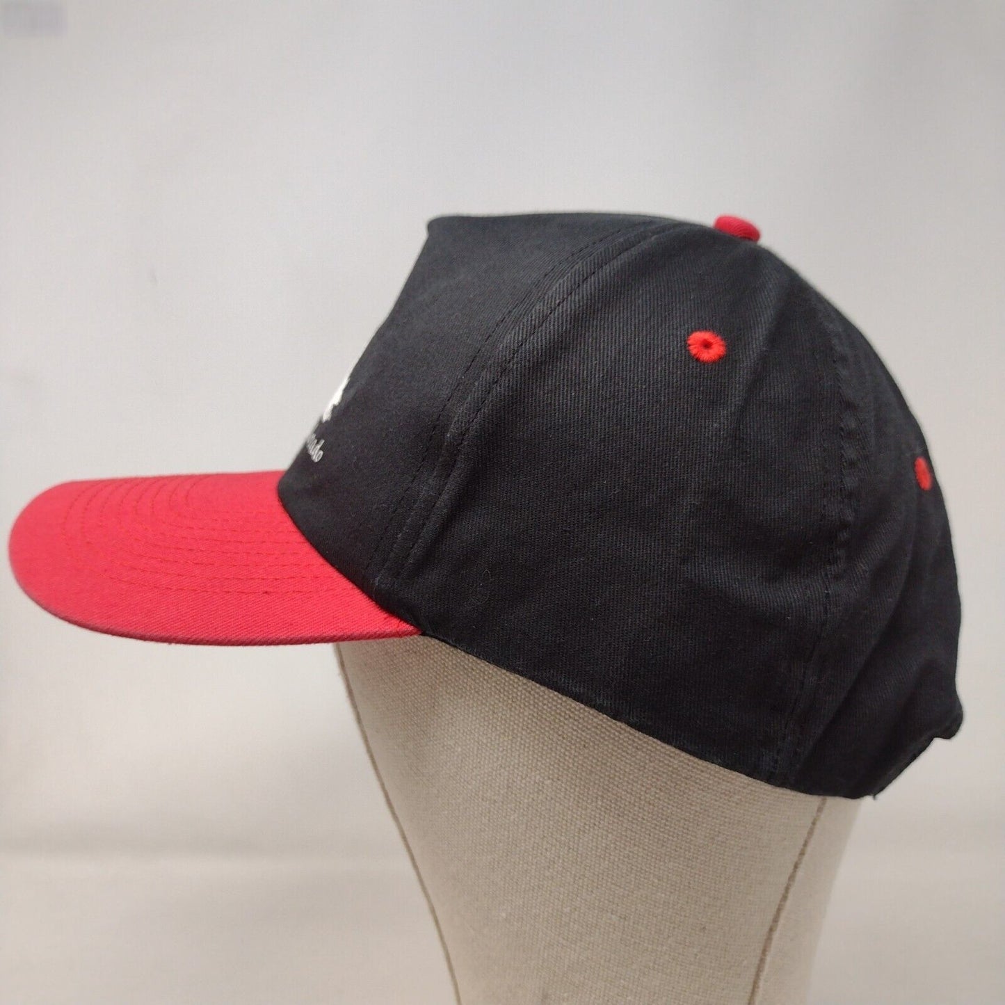 Silverton Colorado Train Snapback Hat Multi OSFA Adjustable Colorblock