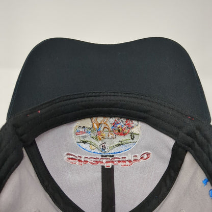 ShadePro Quartzsite 2020 Strapback Hat Multicolor One Size USA Flag