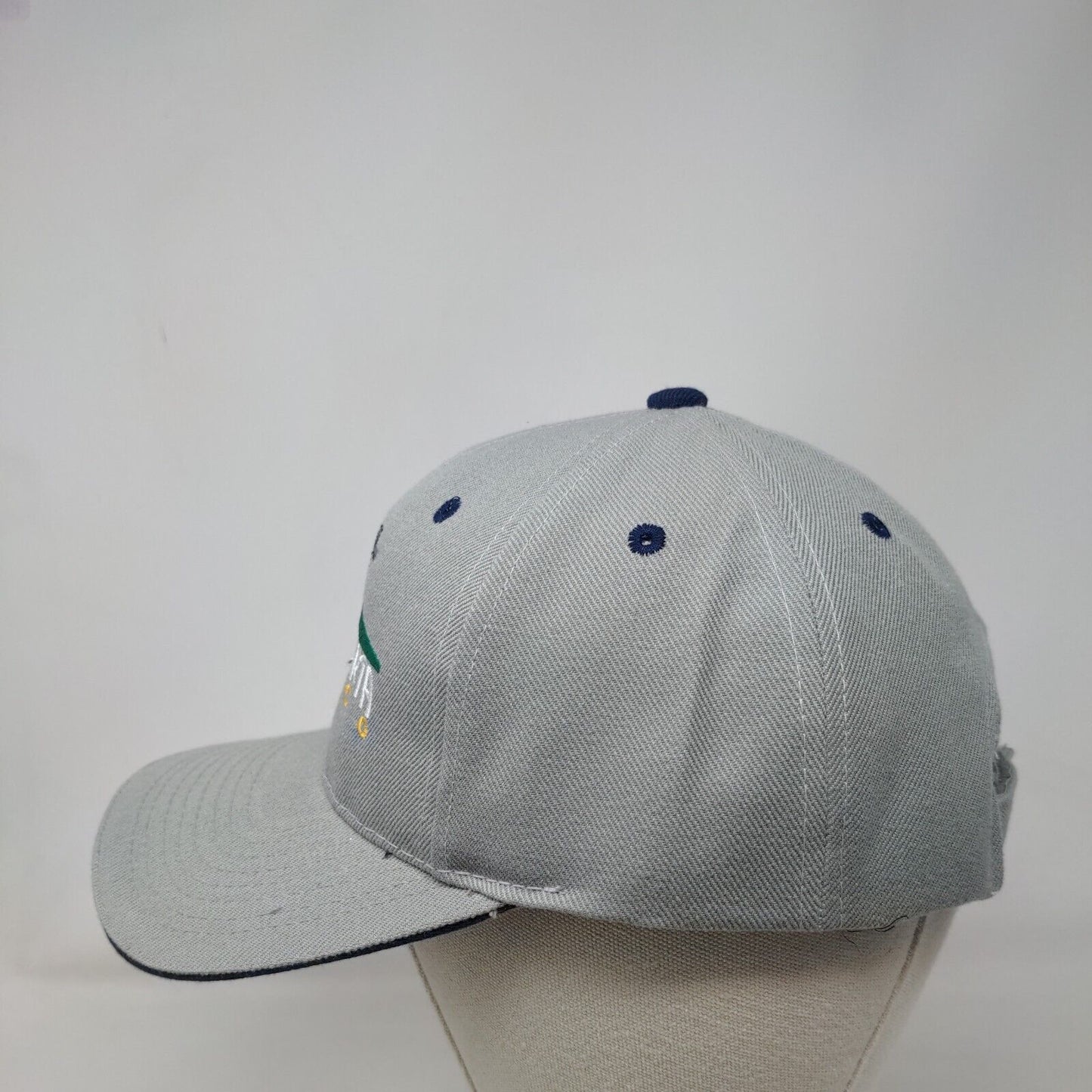 Pto. Vallarta Mexico Strapback Hat Gray One Size Embroidered 6 Panel