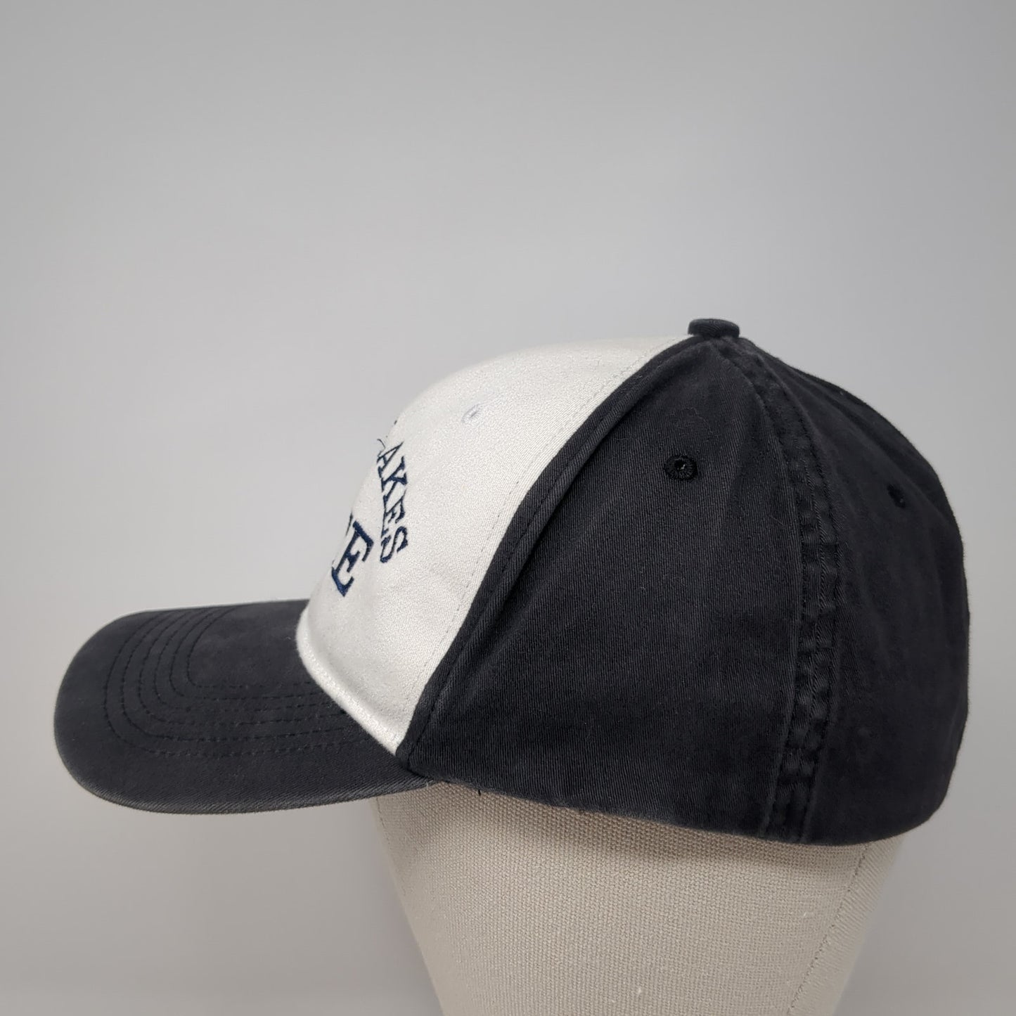 Great Lakes State Fitted Hat Multicolor 8 Embroidered Pacific Headwear