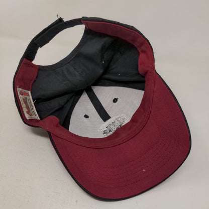 South Carolina Gamecocks Strapback Hat Multicolor Embroidered Logo NCAA