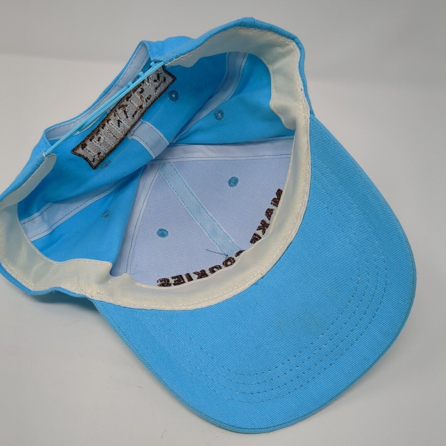 Make Cookies Fun Again Snapback Hat Blue One Size Thinsters Embroidered