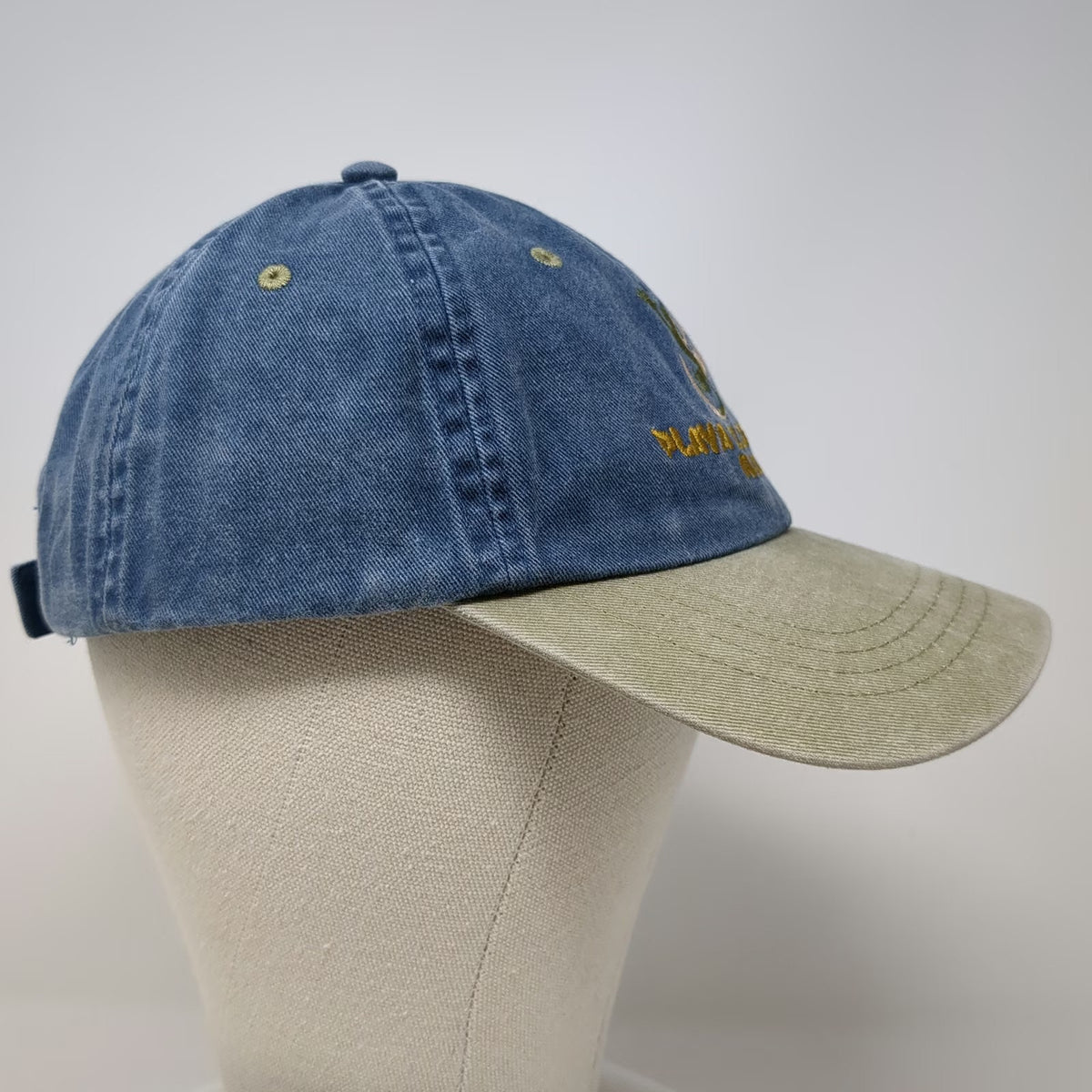 dkps Baseball Cap Blue One Size Playa Del Carmen Mexico Lizard Strapback Hat