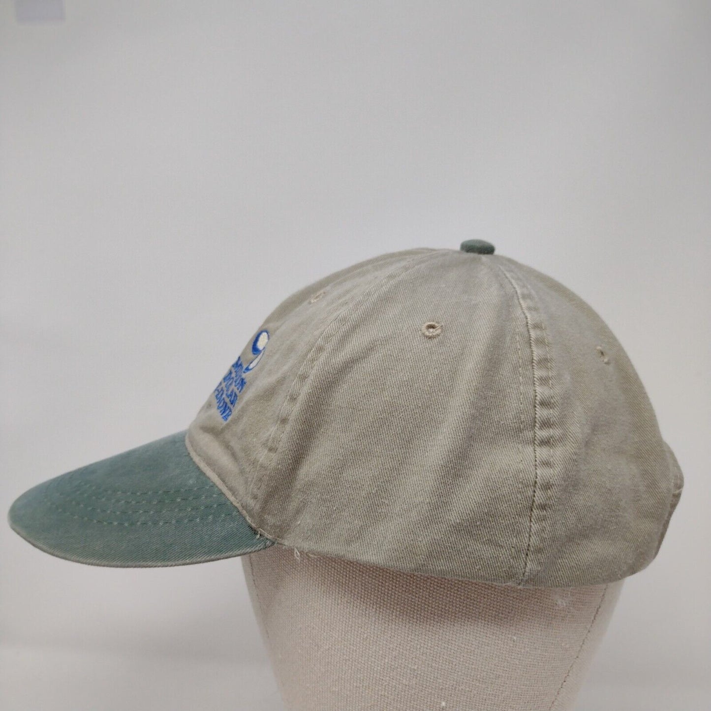 Million Dollar Hole-In-One Slideback Hat Multi OSFM Colorblock Otto