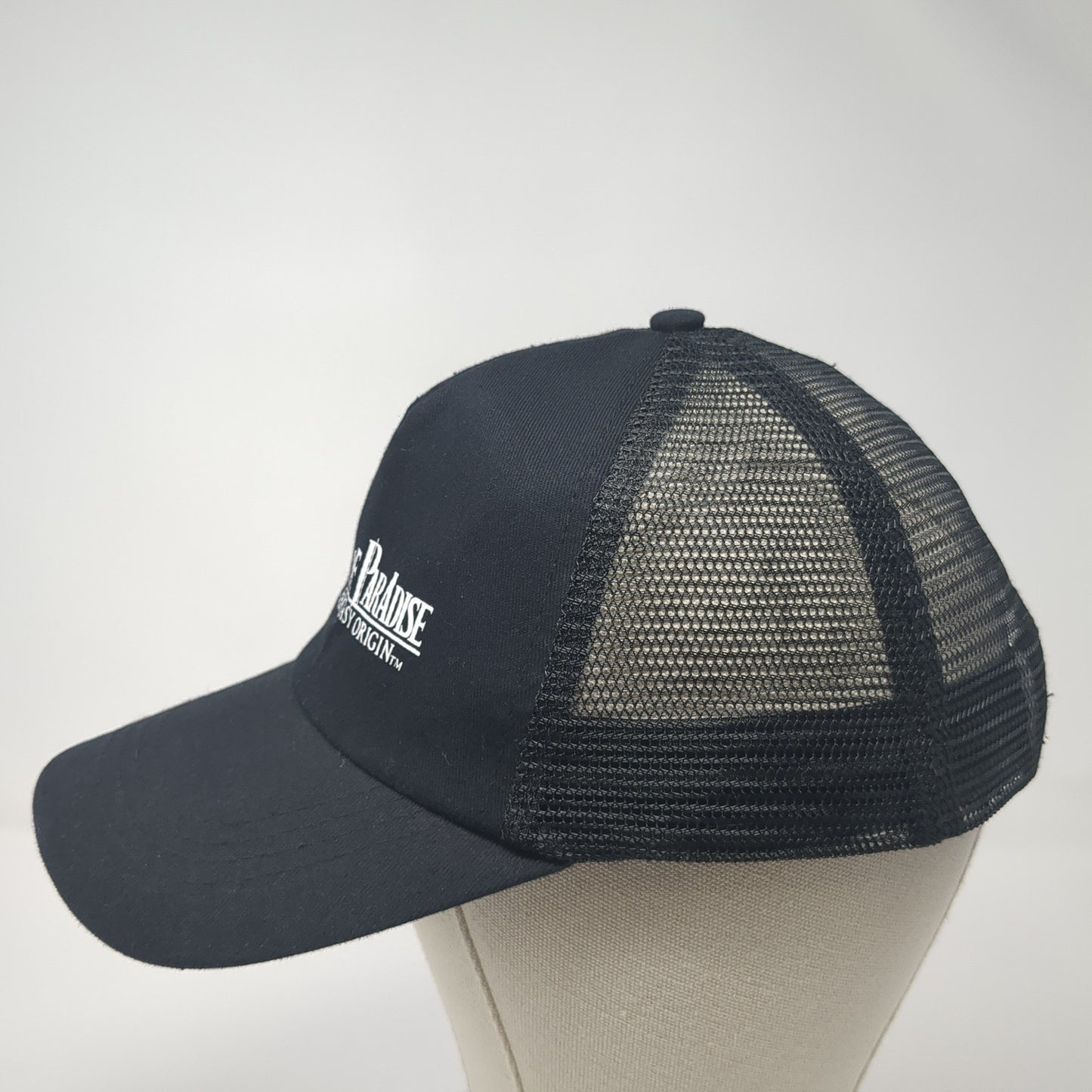 Stranger of Paradise Final Fantasy Origin Trucker Hat Black OS Adjustable Roham