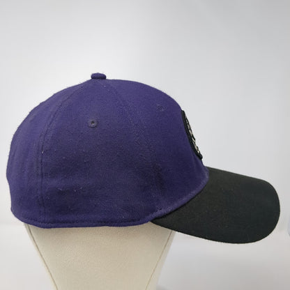 Boise Hawks MiLB New Era Cap Purple L 39THIRTY Stretch Curved Hat