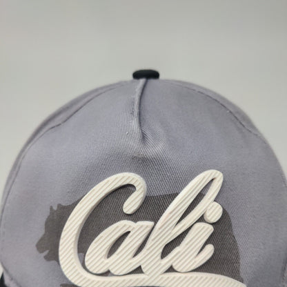 Cali Bear Snapback Hat Gray One Size Adjustable Colorblock Ace Cap Inc