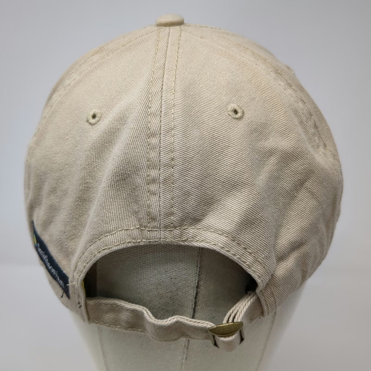 Smithsonian Baseball Cap Beige One Size Save the Bees Flower Embroidered Hat