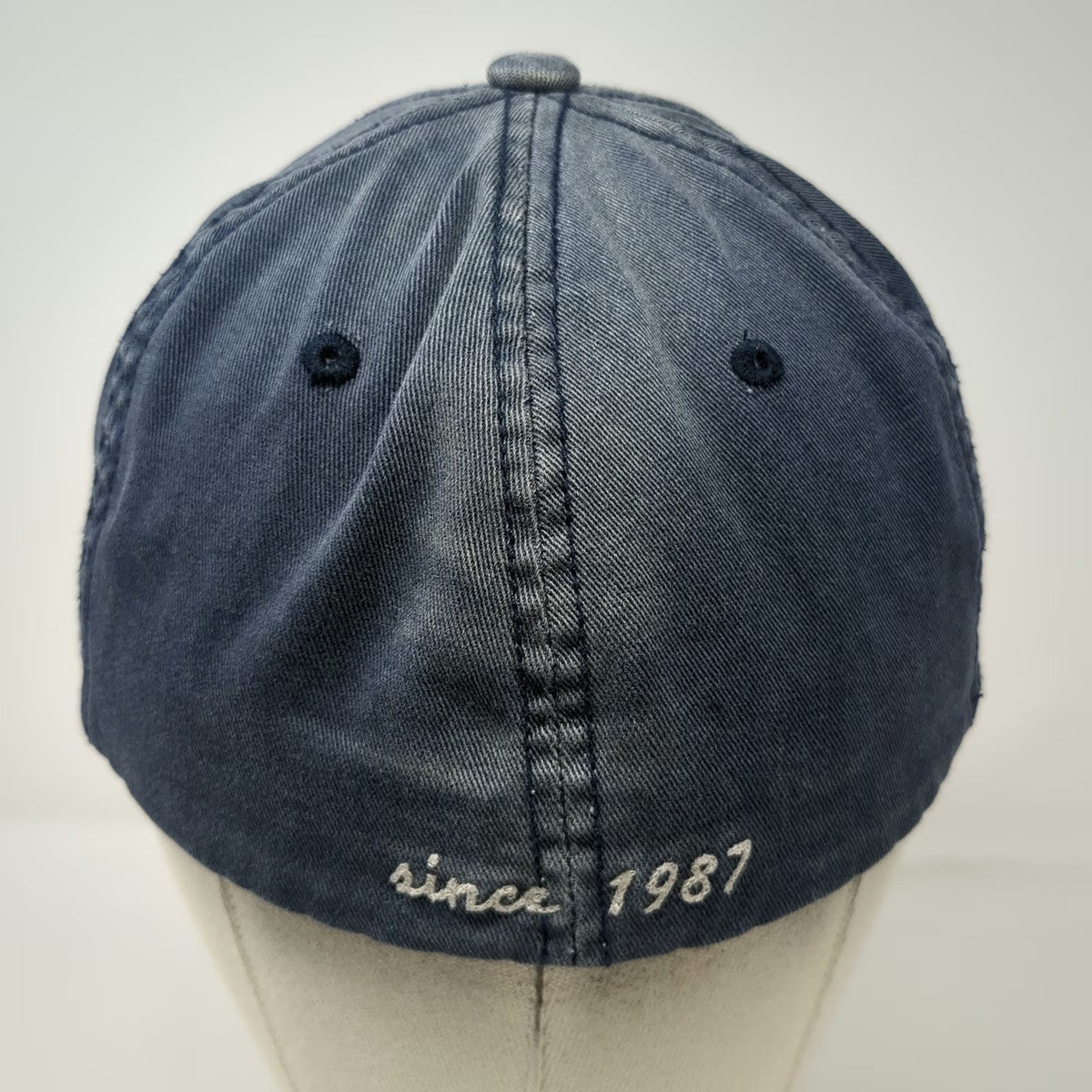 Aeropostale Baseball Cap Blue M Fitted Distressed Embroidered Logo Hat
