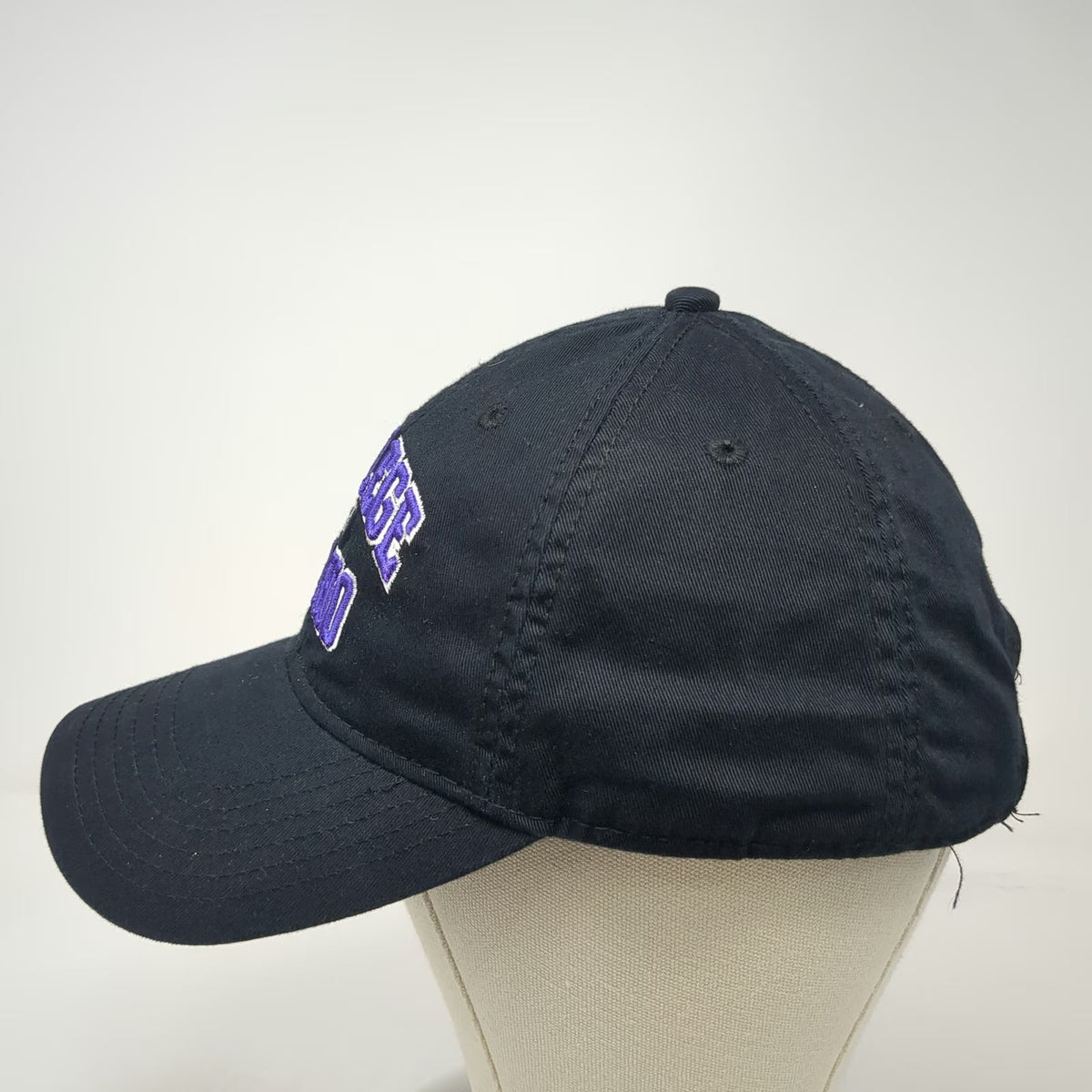 NCAA College of Idaho Legacy Black Purple White One Size Strapback Cotton Hat