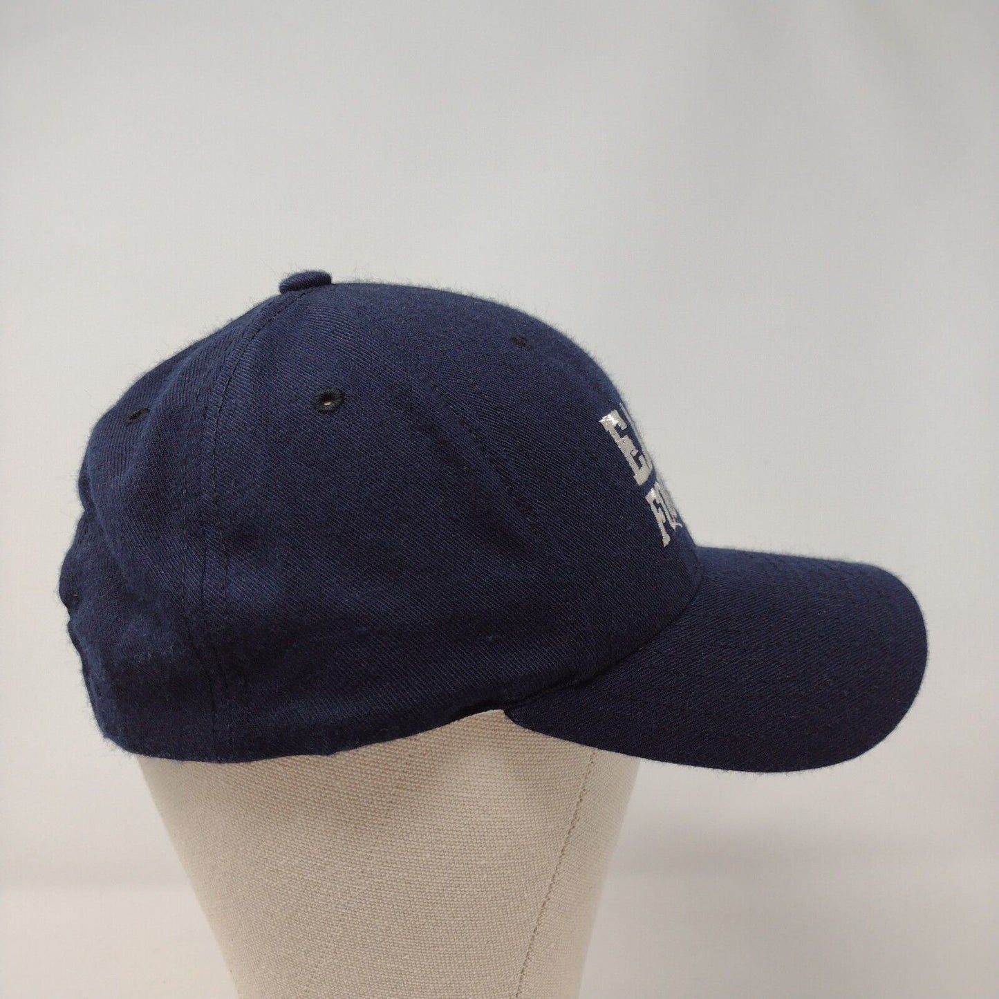 Eagle Football 2002 Adult Snapback Hat Blue OSFA Adjustable Pacific Pro Series
