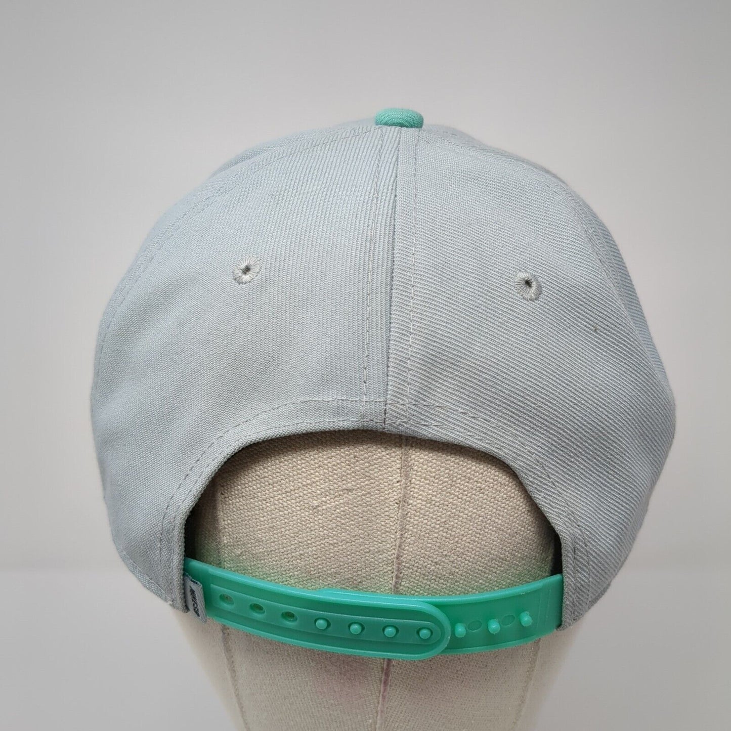 Nike SB Skateboard Snapback Hat Gray Blue Embroidered Logo Adjustable OSFA