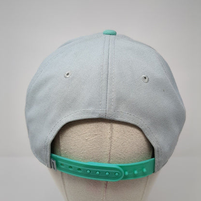 Nike SB Skateboard Snapback Hat Gray Blue Embroidered Logo Adjustable OSFA