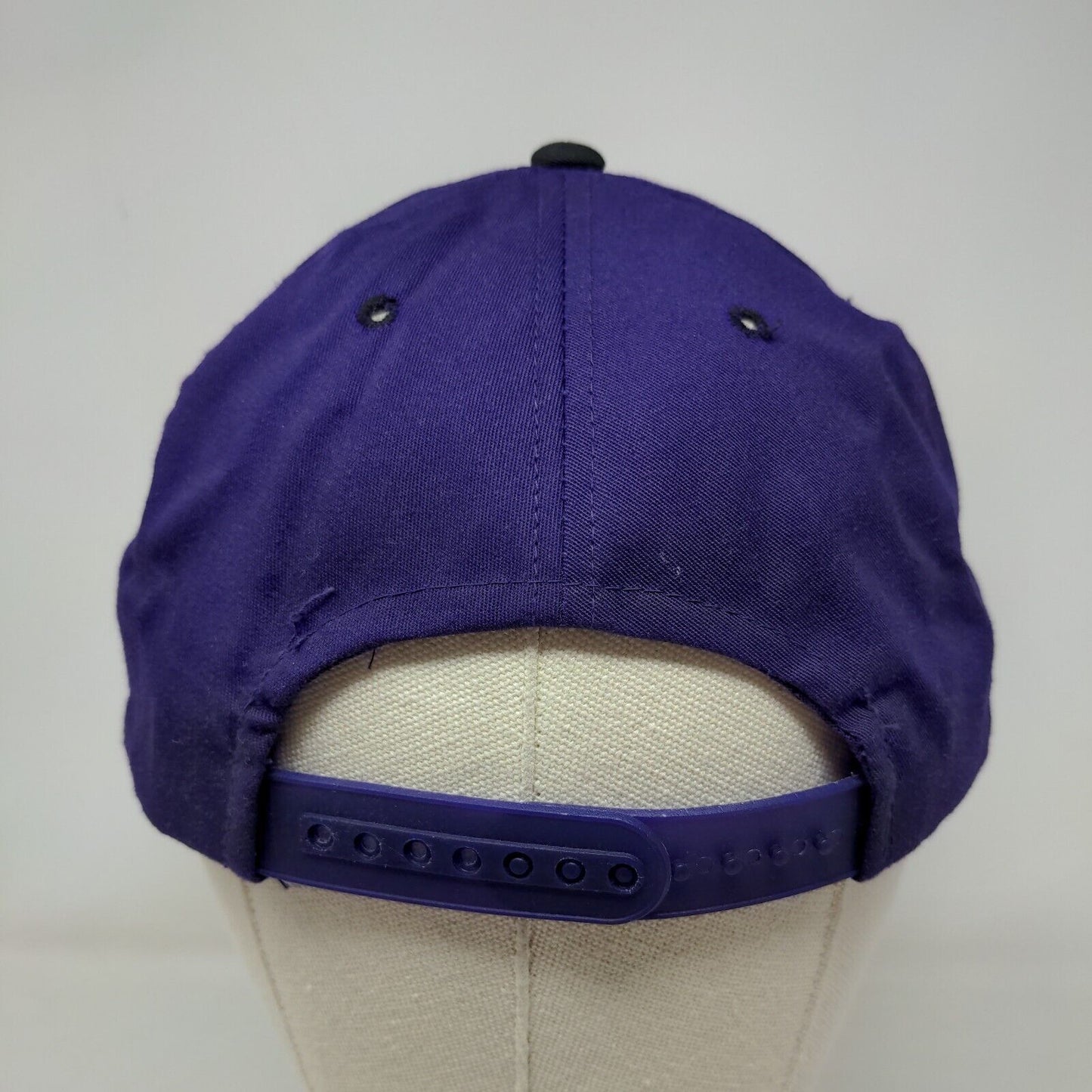 Twins Enterprise Men's Snapback Hat Purple OSFA Phoenix Suns Logo Vintage NBA