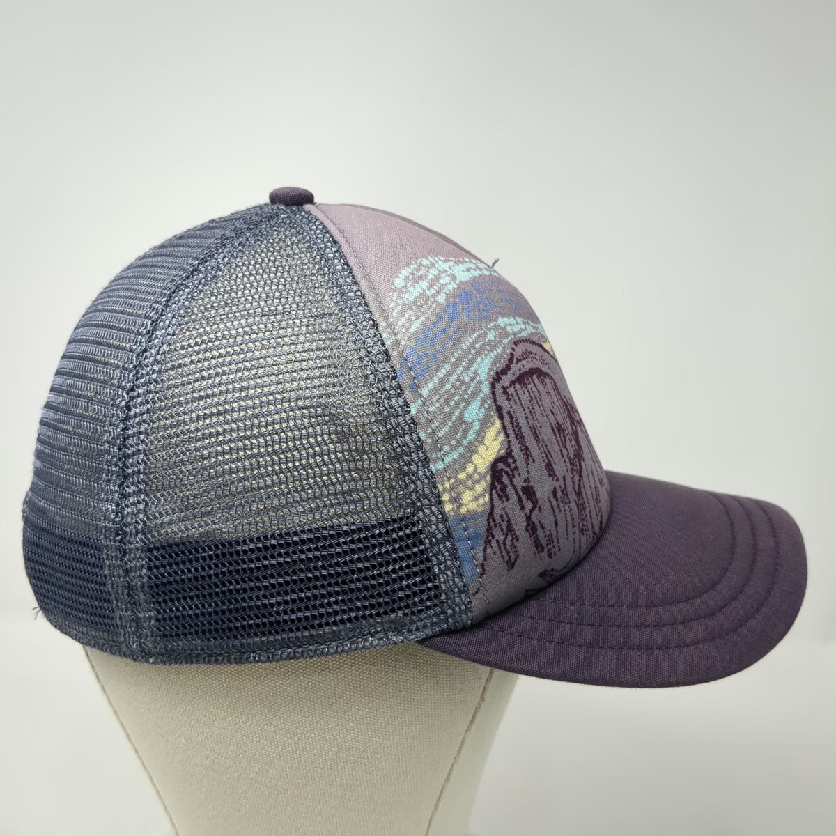Patagonia Trucker Hat Purple One Size Half Dome Yosemite Graphic Snapback hat