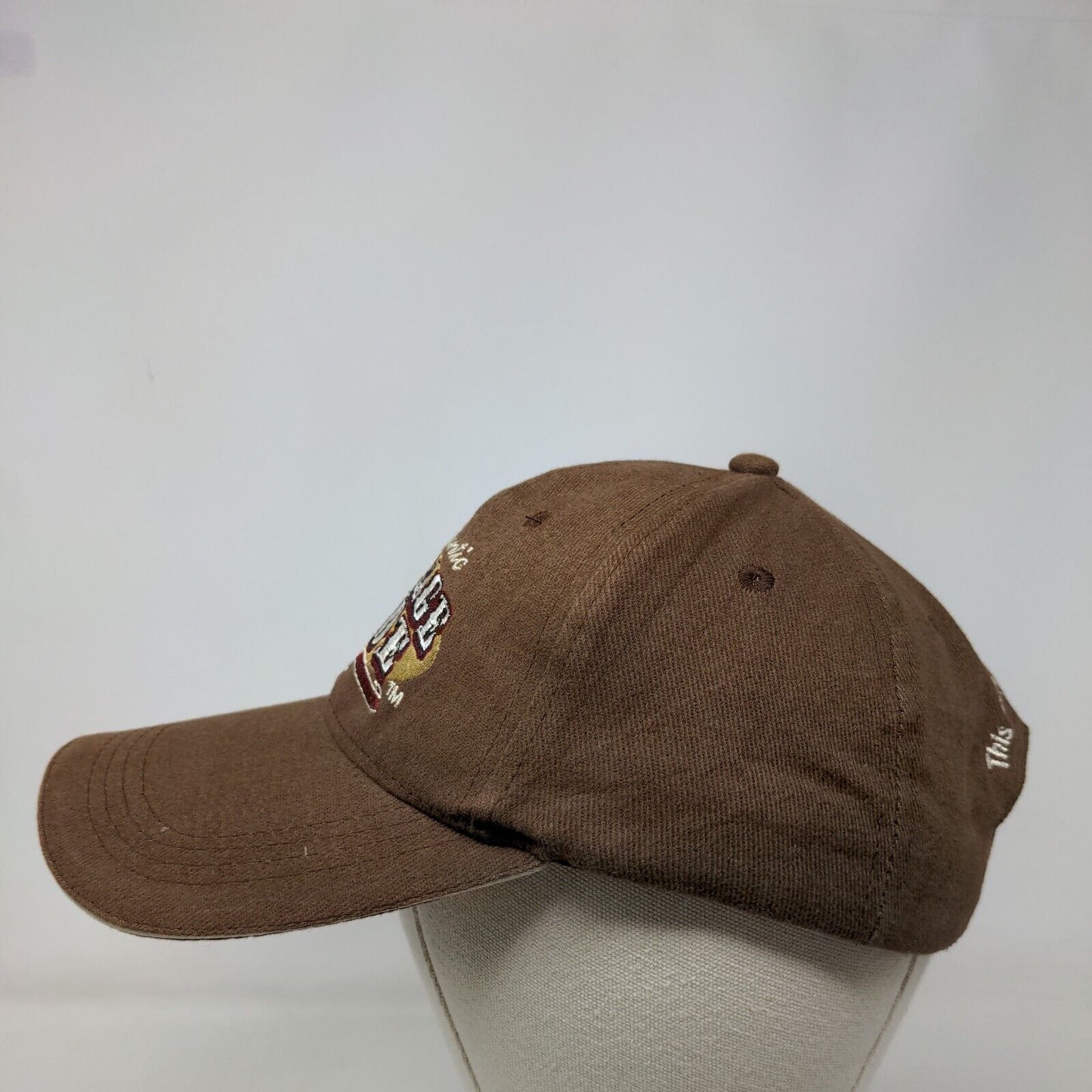 Authentic Vintage Dude This Ain't My First Rodeo Slideback Hat Brown One Size