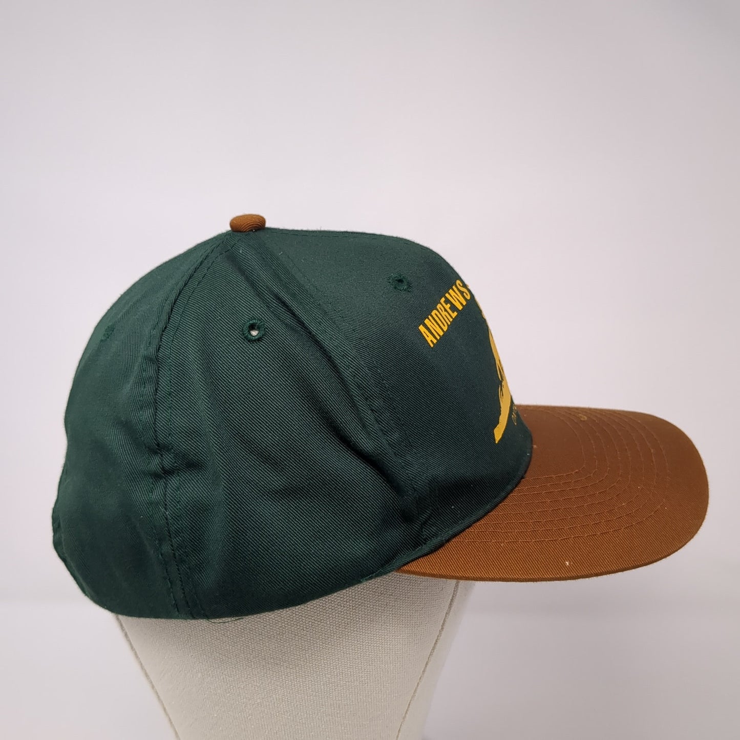 Andrews Seed Co. Ontario Oregon Snapback Hat Green One Size Adjustable Otto