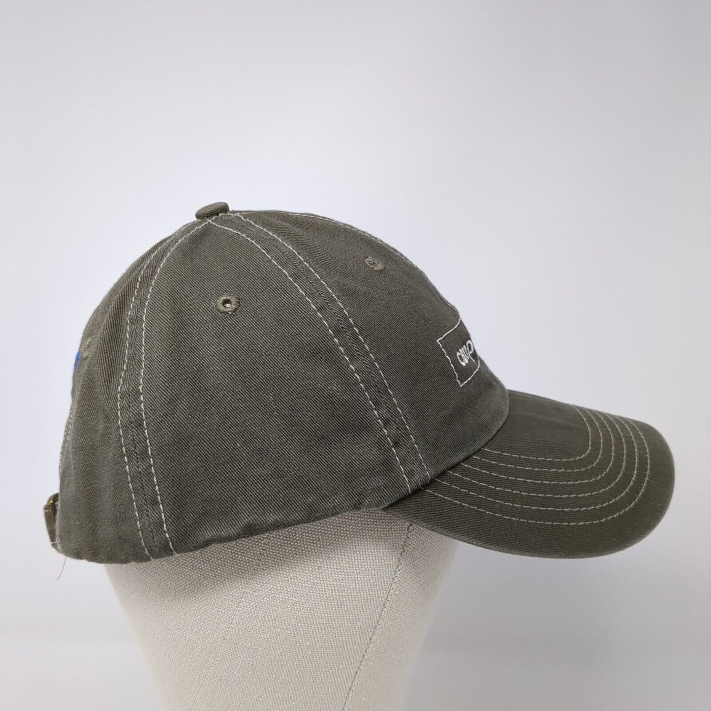 Camp Rainbow Gold St. Luke's Wood River Slideback Hat Brown OS Adjustable Cotton