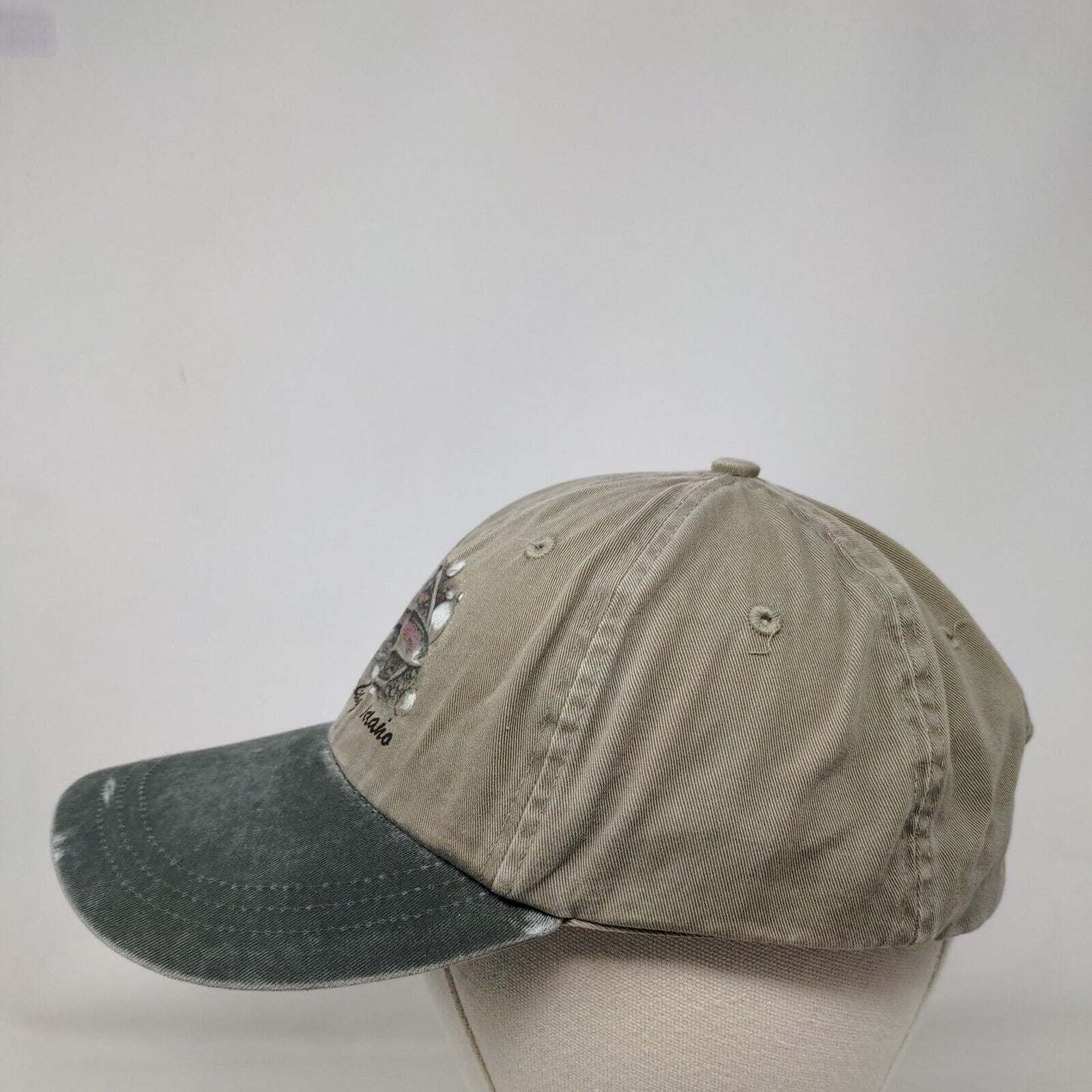 Mackay Idaho Slideback Hat Multicolor One Size Adjustable Falcon Headwear