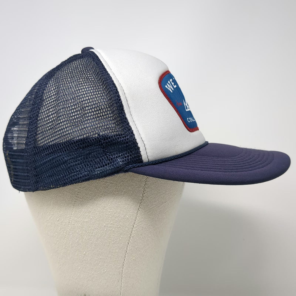 Otto Trucker Hat Blue One Size Western Collective Boise Idaho Mountain Patch