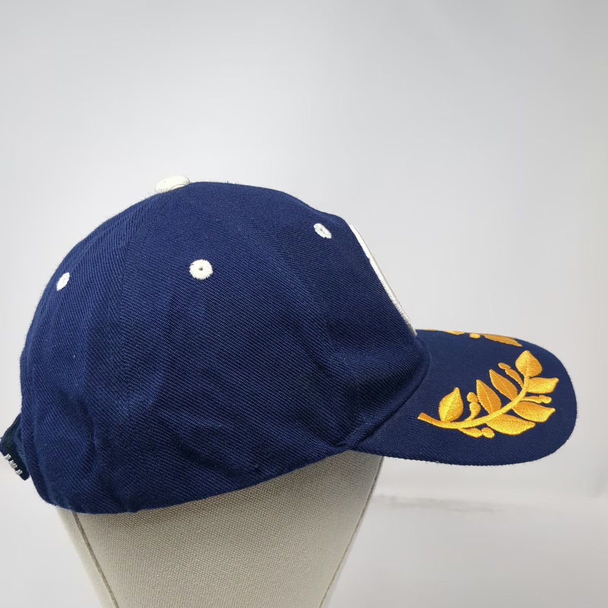 Retired Scrambled Eggs Baseball Cap Blue One Size US Navy Flag Pin Military hat