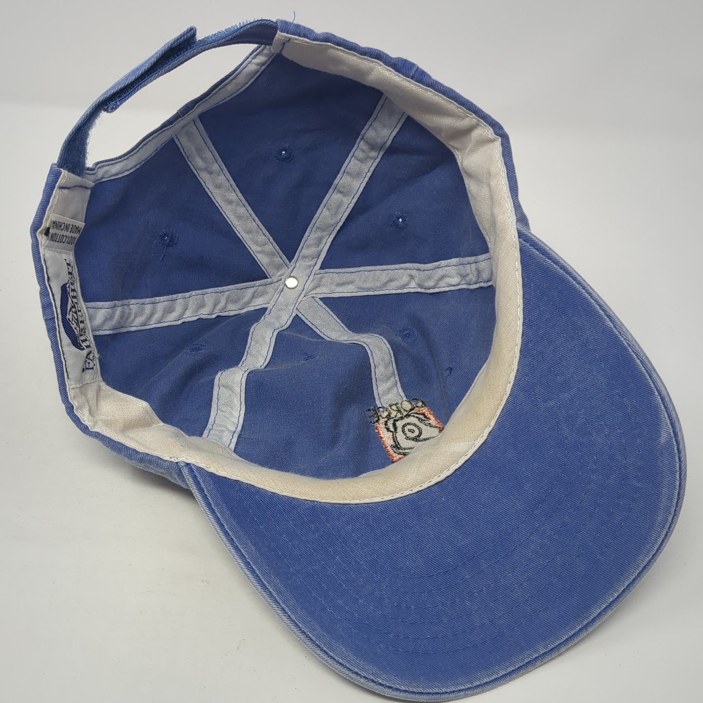 Gorge Dog Strapback Hat Blue One Size Adjustable Embroidered Fahrenheit