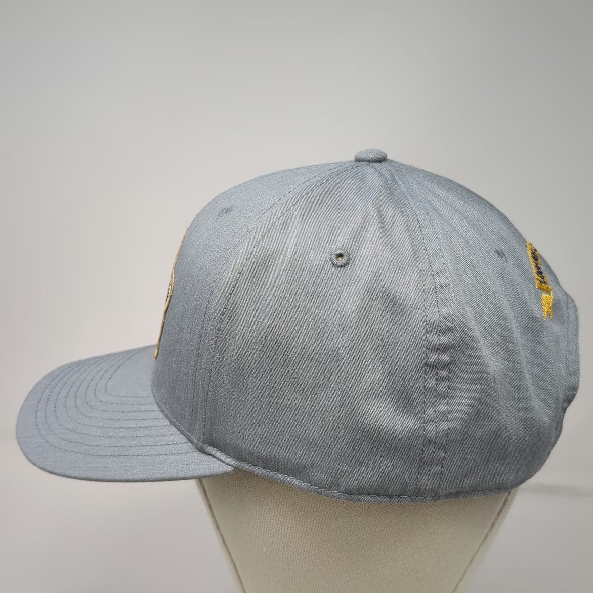 Richardson Snapback Hat Gray One Size California Waterfowl Wood Duck Program